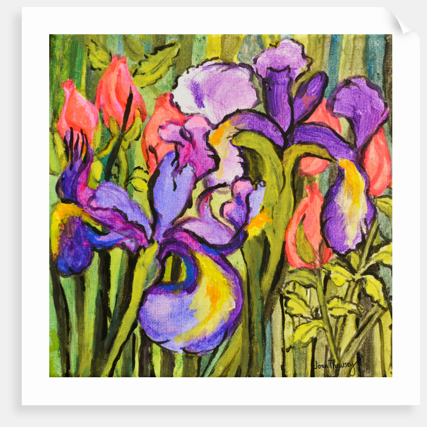 Irises and Roses, 2017 by Joan Thewsey