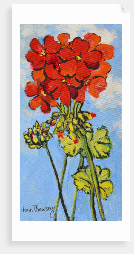 Geranium Spray, 2017 by Joan Thewsey