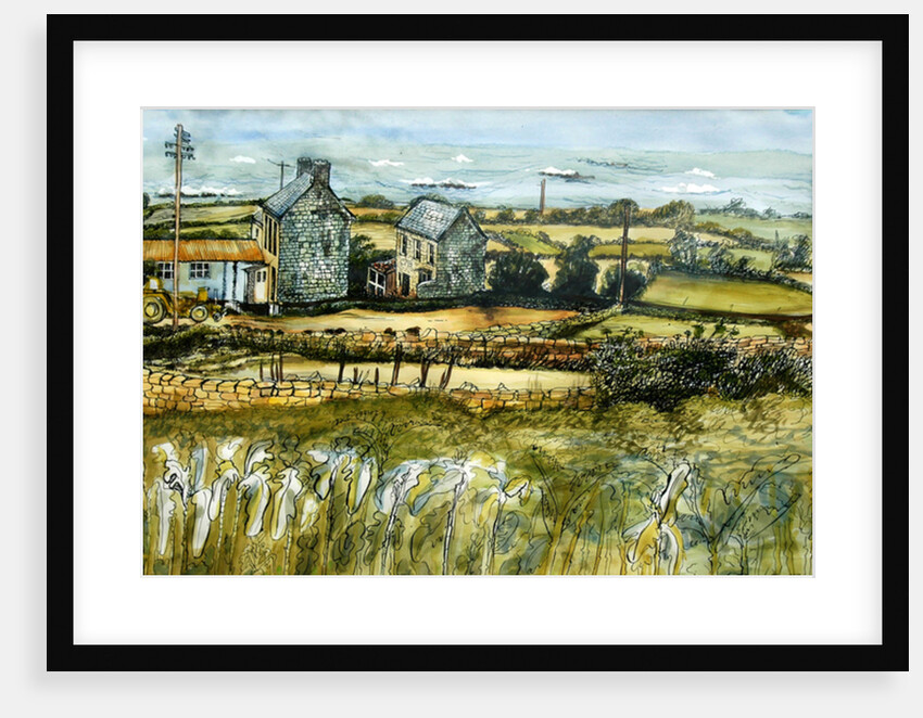 Farm and Sea, L'Etacq, 2012 by Joan Thewsey