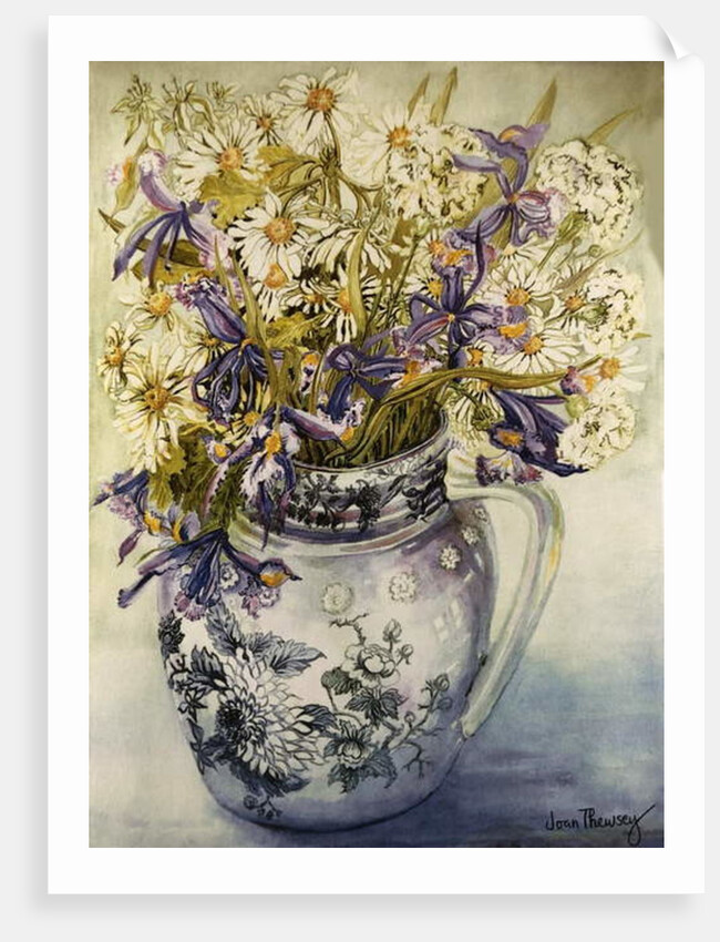 Iris, Chrysanthemums and Carnations in a Copeland Jug by Joan Thewsey
