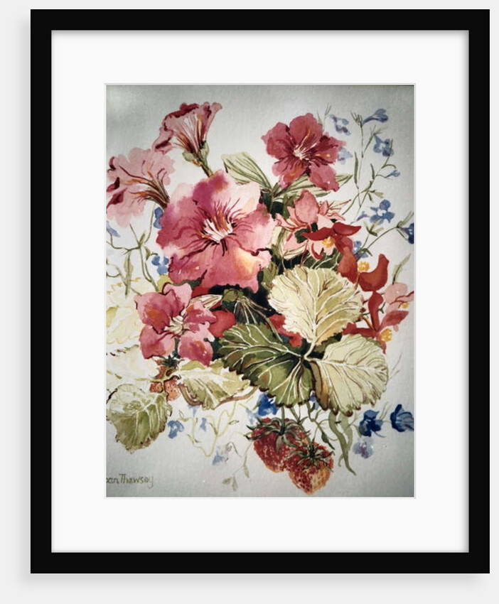 Petunias, Lobelias, Begonias and Strawberries in a Terrace Pot by Joan Thewsey