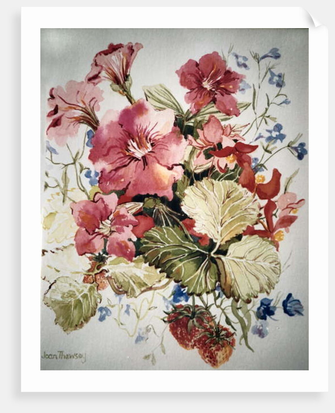 Petunias, Lobelias, Begonias and Strawberries in a Terrace Pot by Joan Thewsey