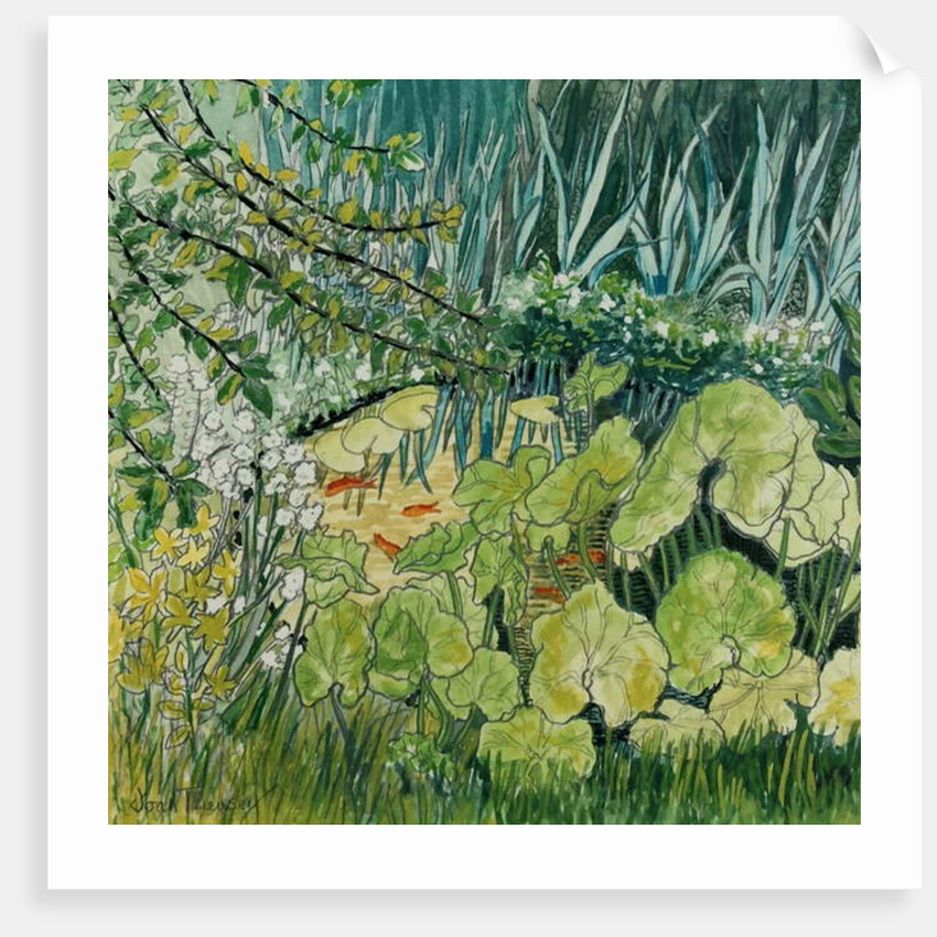 Pond with Goldfish by Joan Thewsey