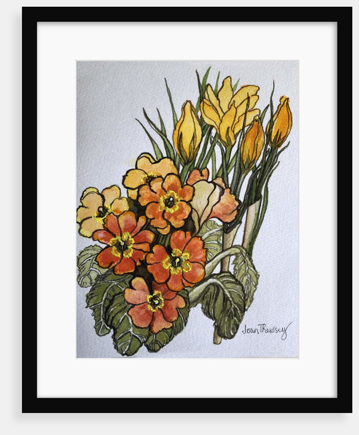 Crocus and Primroses by Joan Thewsey