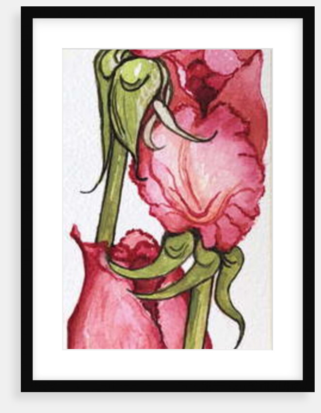 Three Red Roses by Joan Thewsey