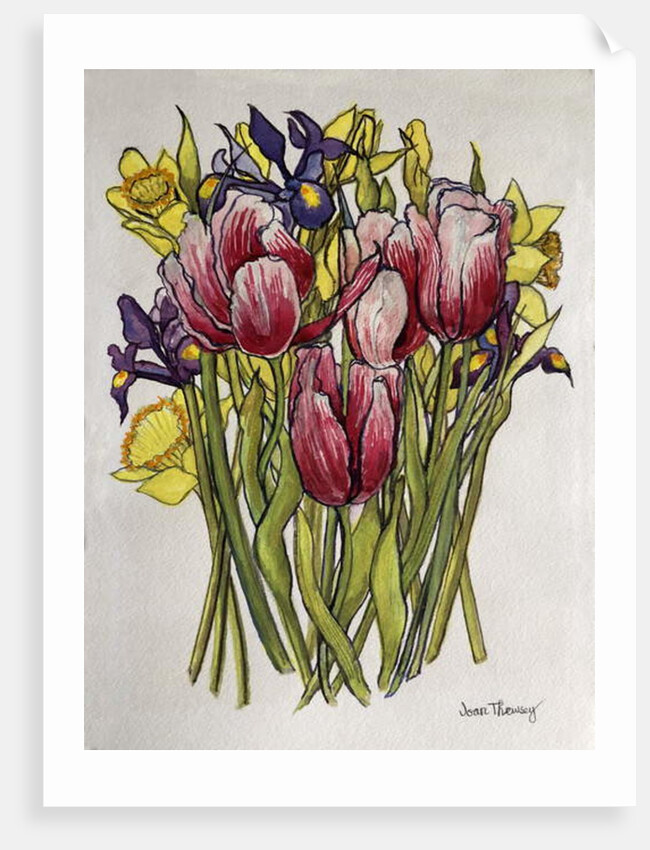 Tulips, Daffodils and Iris by Joan Thewsey