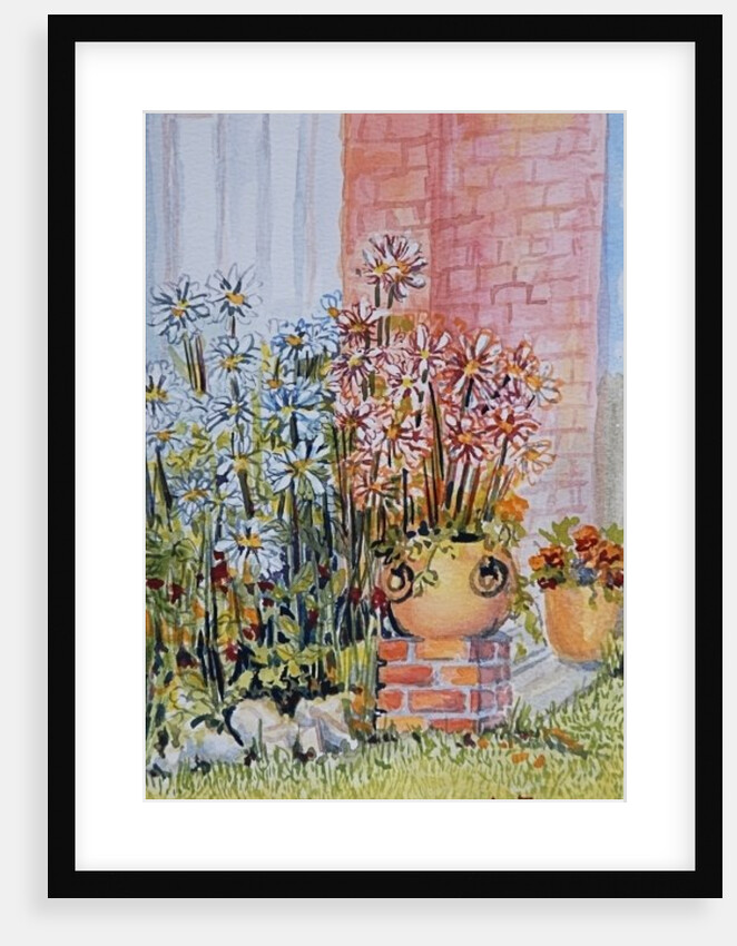 Marguerites in the Cottage Garden by Joan Thewsey