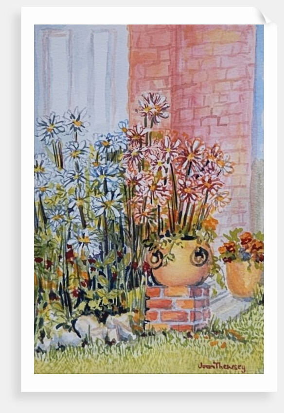 Marguerites in the Cottage Garden by Joan Thewsey