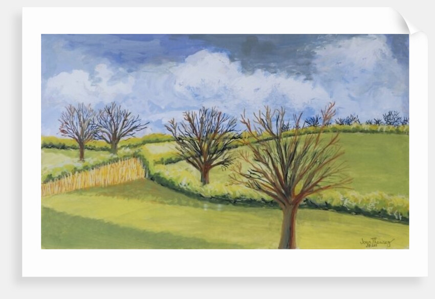Suffolk Spring Sky by Joan Thewsey