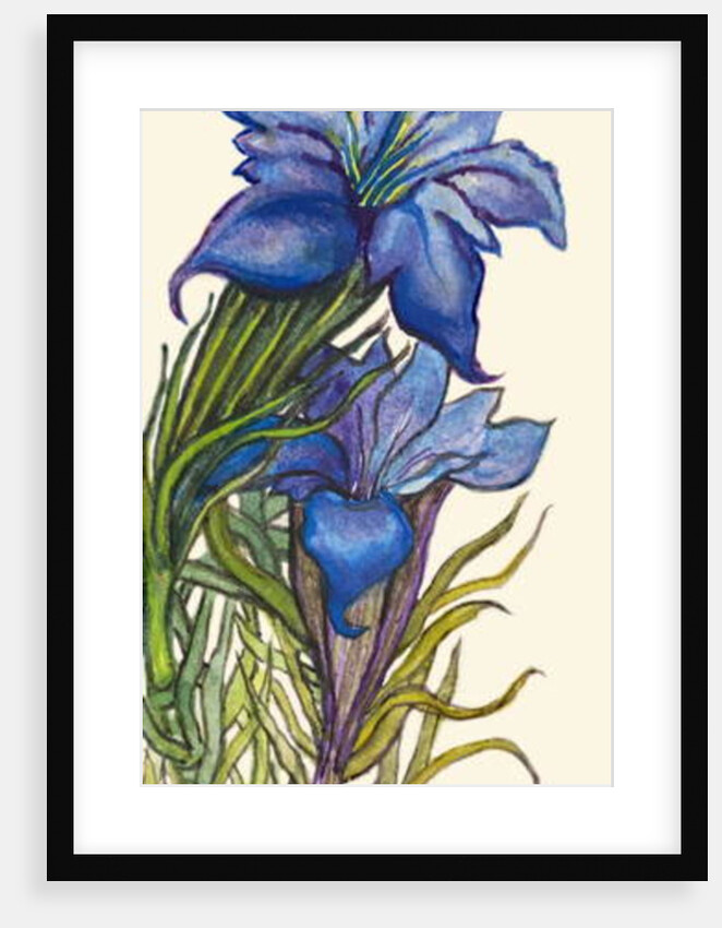 Gentians by Joan Thewsey