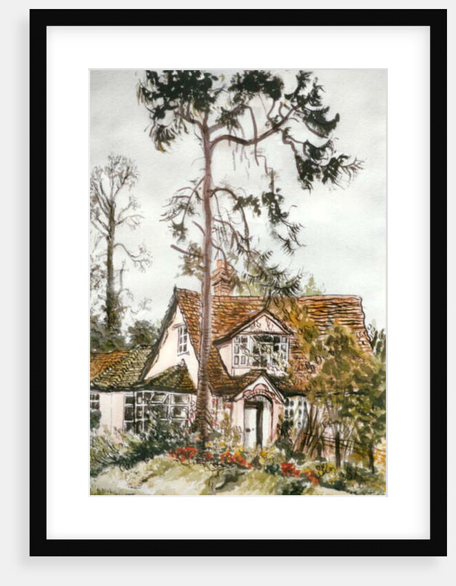 Cottage with Fir Tree by Joan Thewsey