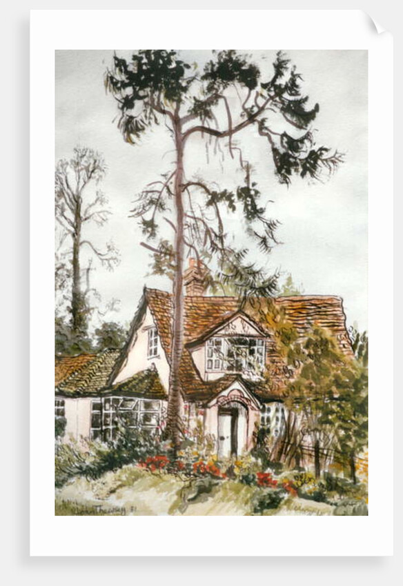 Cottage with Fir Tree by Joan Thewsey