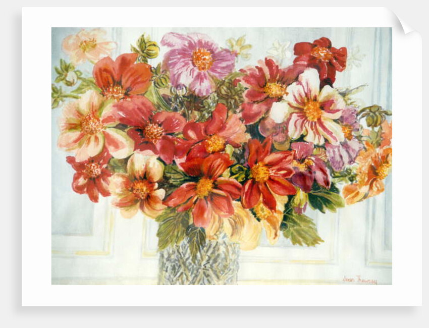 Dahlias by Joan Thewsey