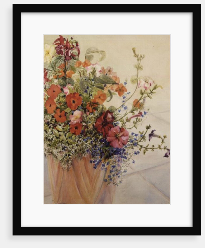 Petunias, Lobelias, Busy Lizzies and Fuschia in a Terracotta Pot by Joan Thewsey