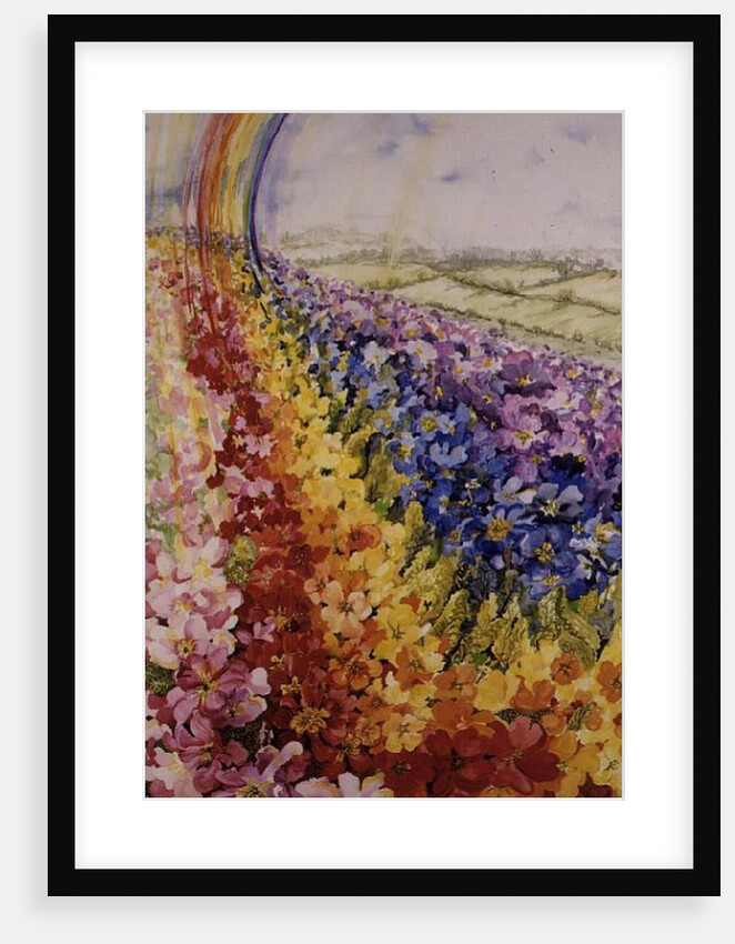 Primrose Rainbow by Joan Thewsey