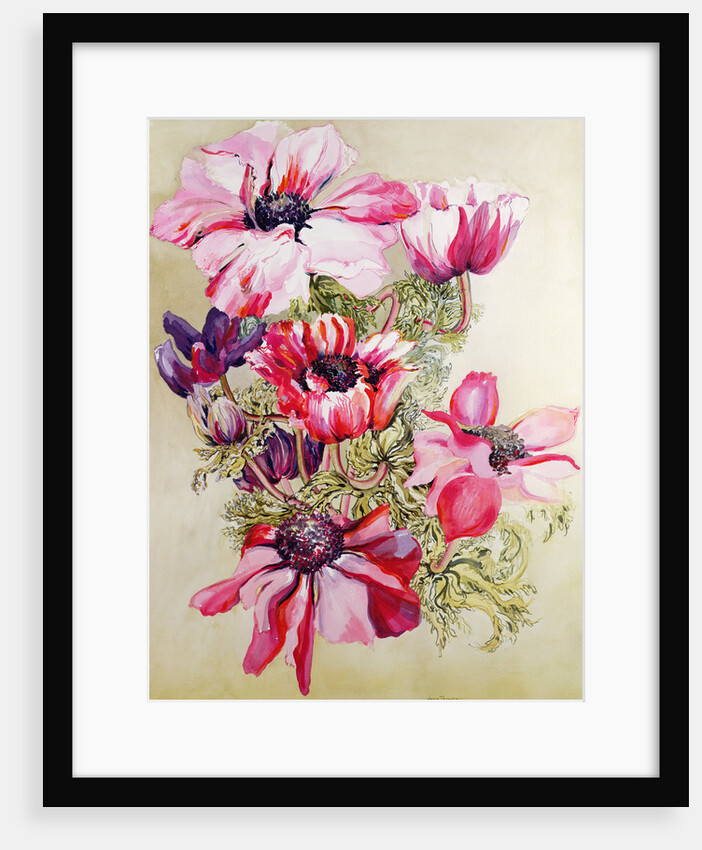 Anemones by Joan Thewsey
