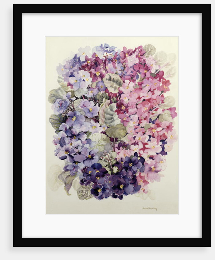 African Violets by Joan Thewsey