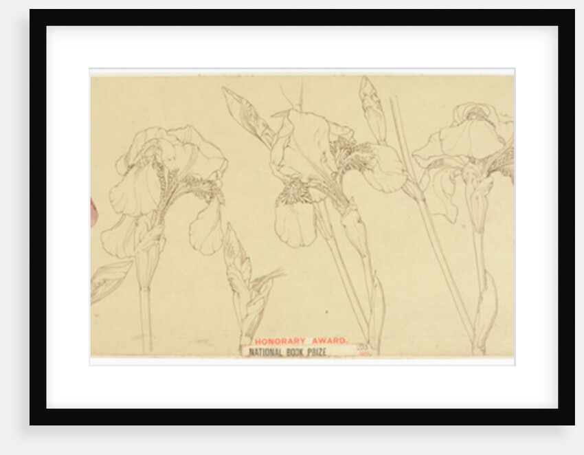 Botanical Studies, 1900-30 by James Atherton