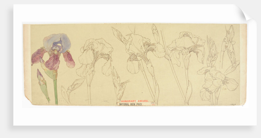 Botanical Studies, 1900-30 by James Atherton