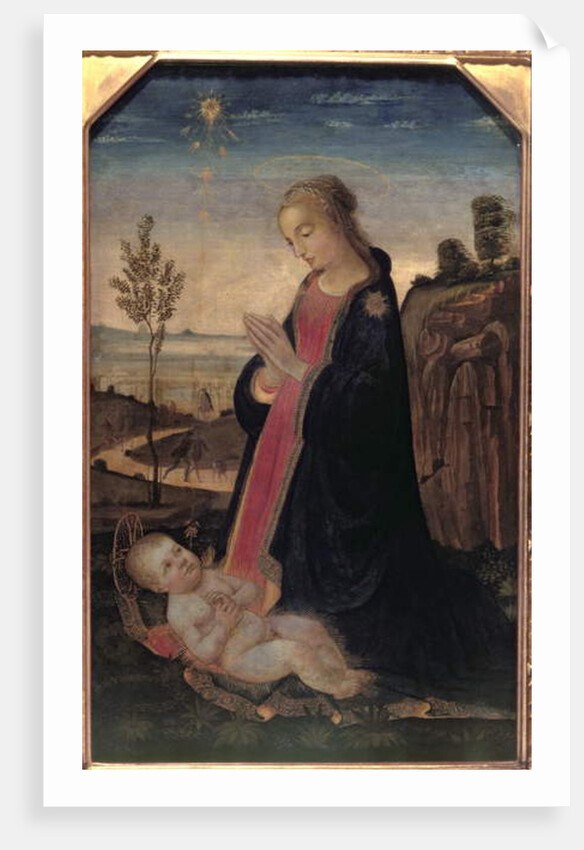 Madonna and Child in a Landscape by Jacopo del Sellaio