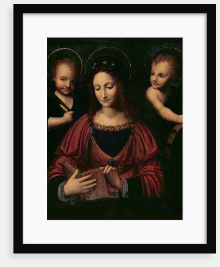 St. Catherine of Alexandria by Bernardino Luini