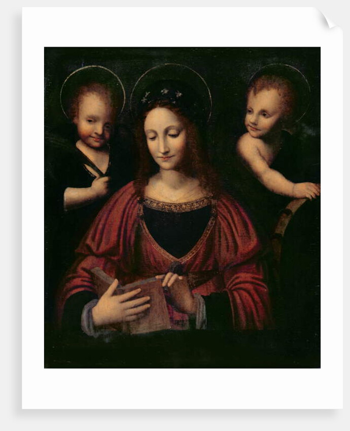 St. Catherine of Alexandria by Bernardino Luini