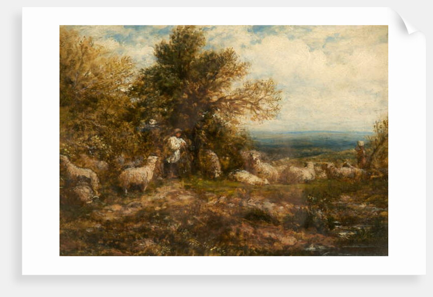Sheep at Rest; Minding the Flock, c.1840-80 by John Linnell
