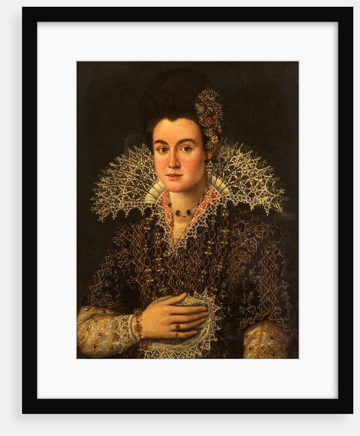 Portrait of a Lady by Alonso Sanchez Coello