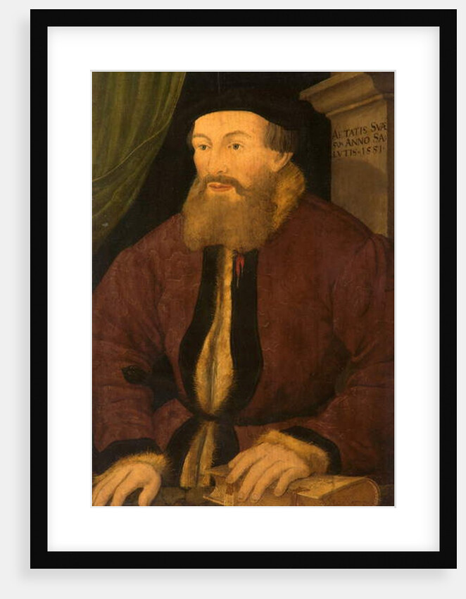 Portrait of a Man, 1551 by Flemish School