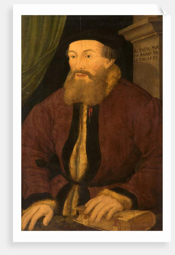 Portrait of a Man, 1551 by Flemish School