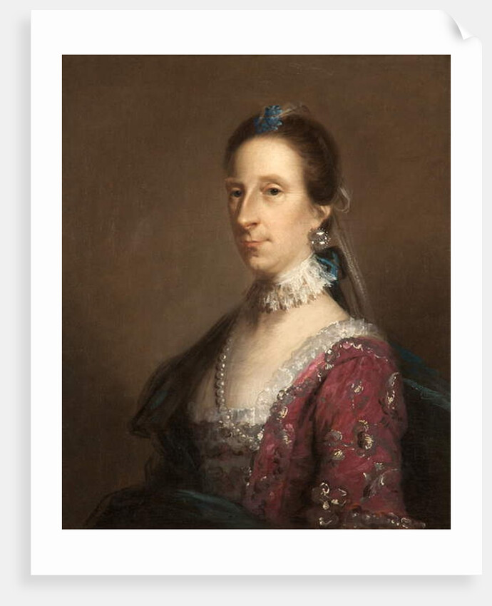 Portrait of a Lady by John Astley