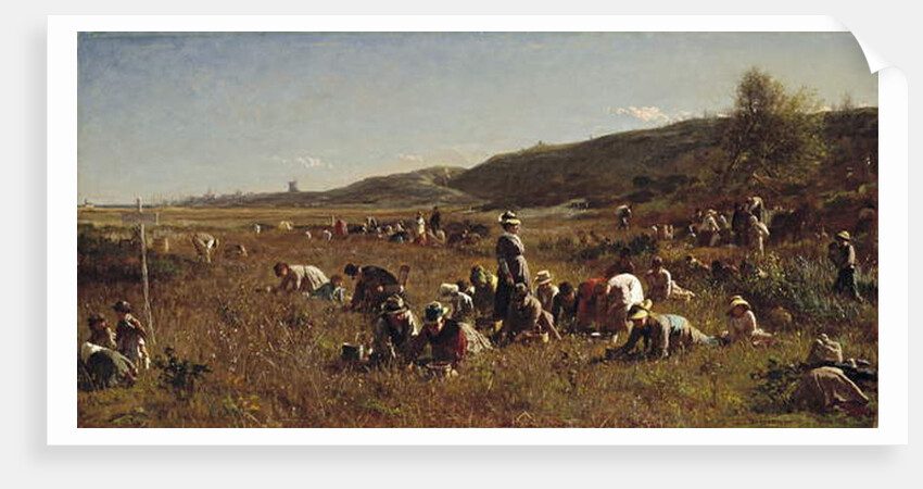 The Cranberry Harvest. Island of Nantucket, 1880 by Eastman Johnson