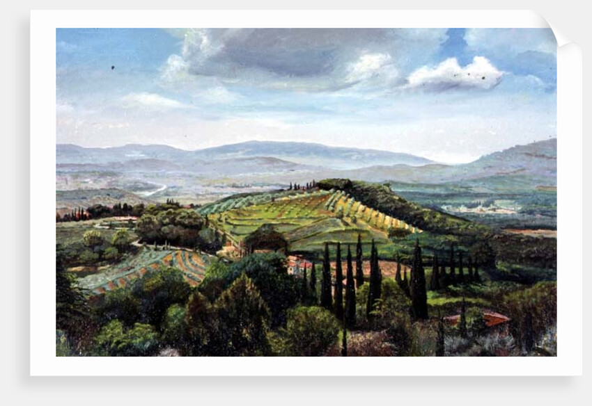 Rolling Hills, Pistoia, Tuscany by Trevor Neal