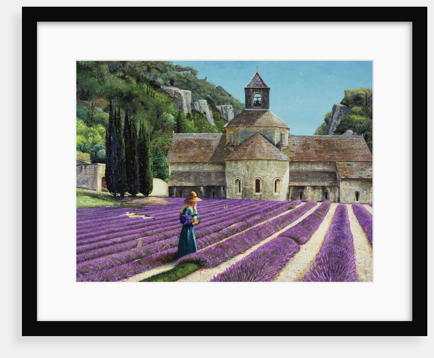 Lavender Picker, Abbaye Senanque, Provence by Trevor Neal