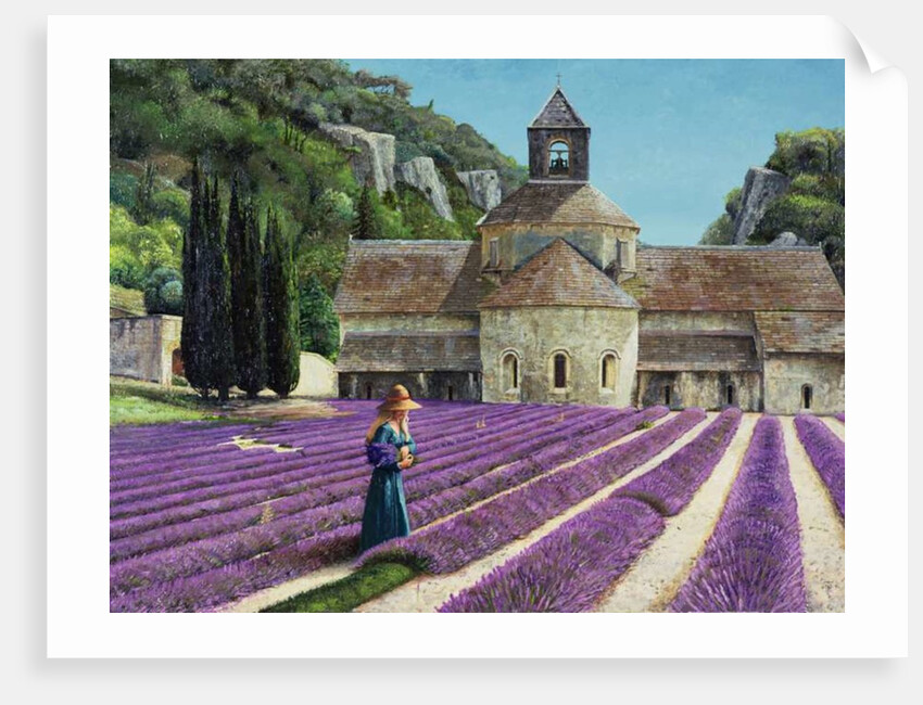 Lavender Picker, Abbaye Senanque, Provence by Trevor Neal