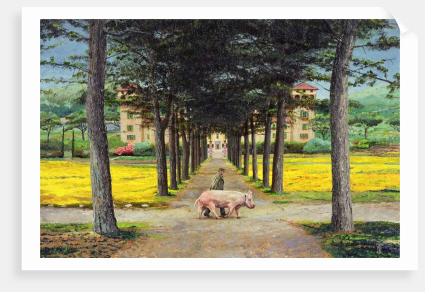 Big Pig, Pistoia, Tuscany by Trevor Neal