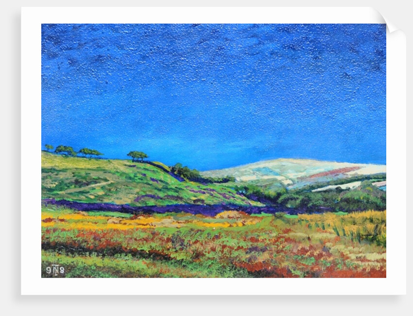 Derbyshire landscape, 1999 by Trevor Neal