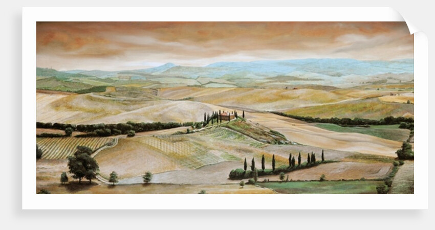 Belvedere, Tuscany, 2001 by Trevor Neal