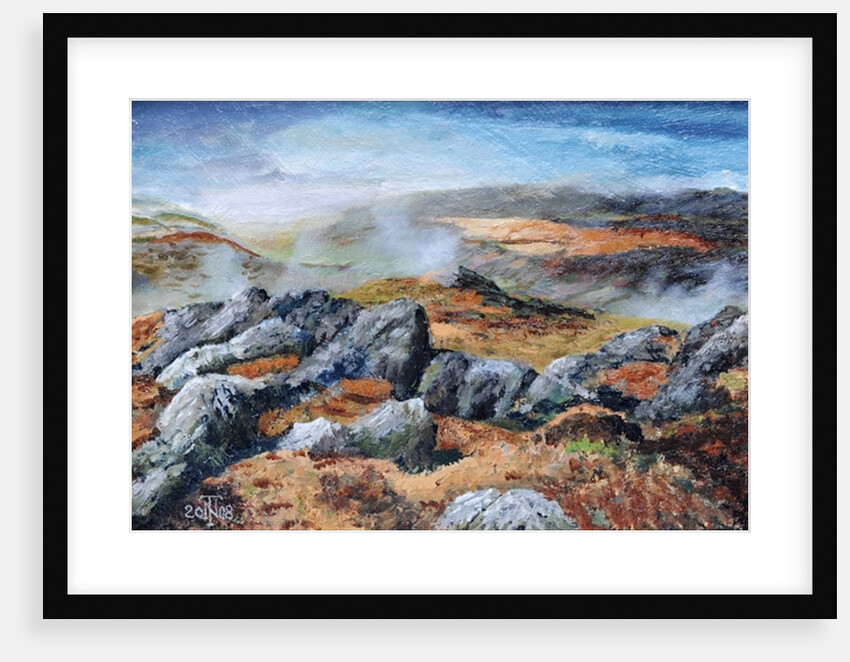 Langdales top, Cumbria, 2008 by Trevor Neal
