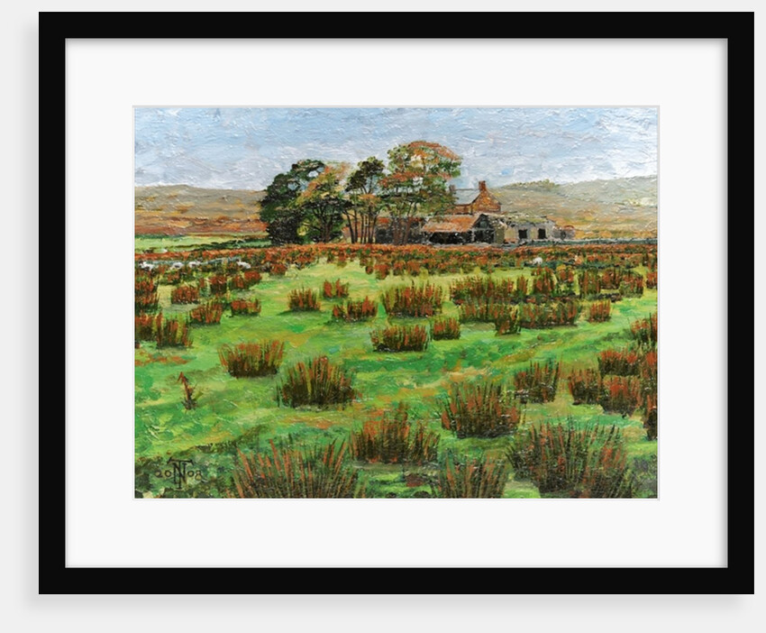 Farm Cumbria, 2008 by Trevor Neal