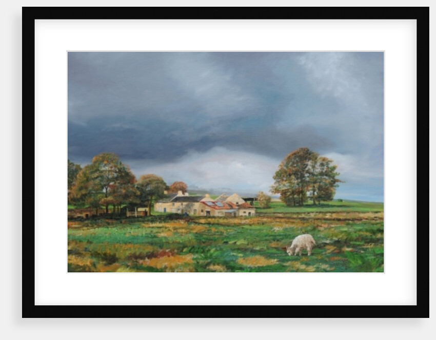 Old Farm, Monyash, Derbyshire, 2009 by Trevor Neal