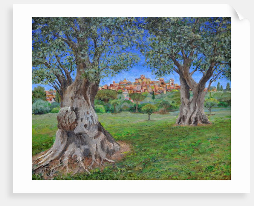 View of Cagnes Sur Mer from Renoir's garden, 2017 by Trevor Neal