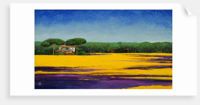 Tuscan Landcape, 2010 by Trevor Neal