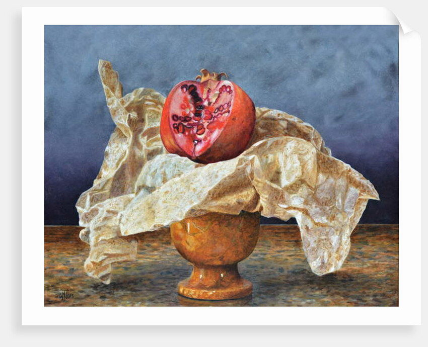 Pomegranate Still Life, 2008 by Trevor Neal