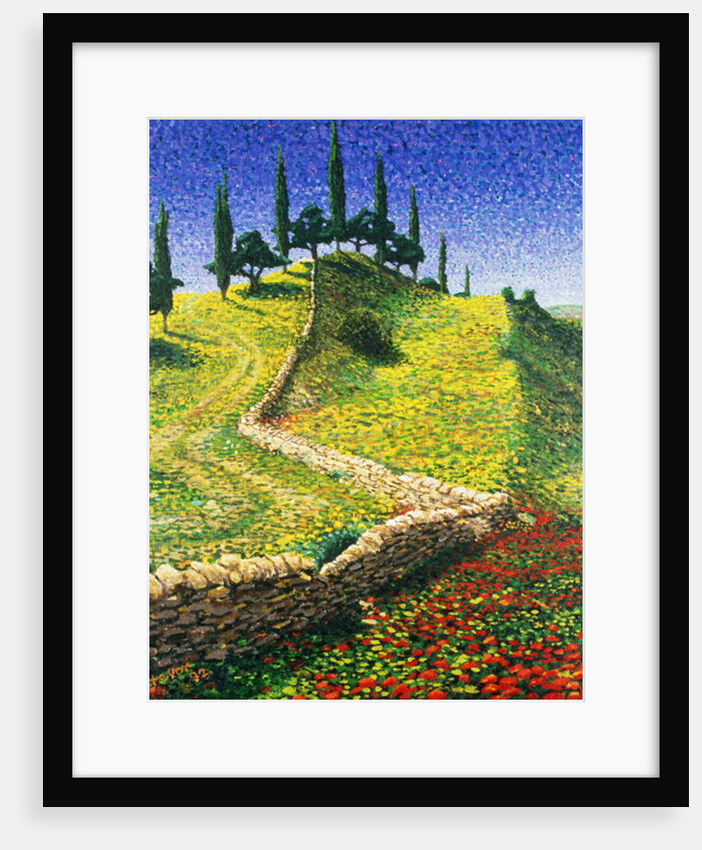 Spanish Hill Top, 1992 by Trevor Neal