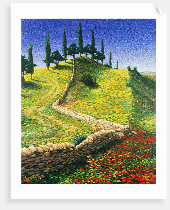 Spanish Hill Top, 1992 by Trevor Neal