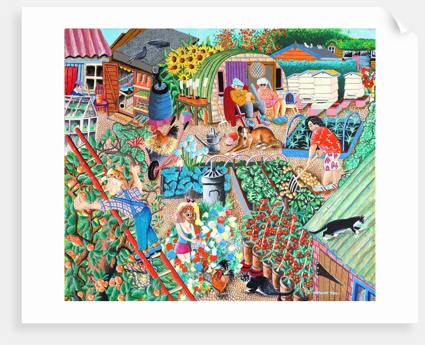 The Apple Picker by Tony Todd