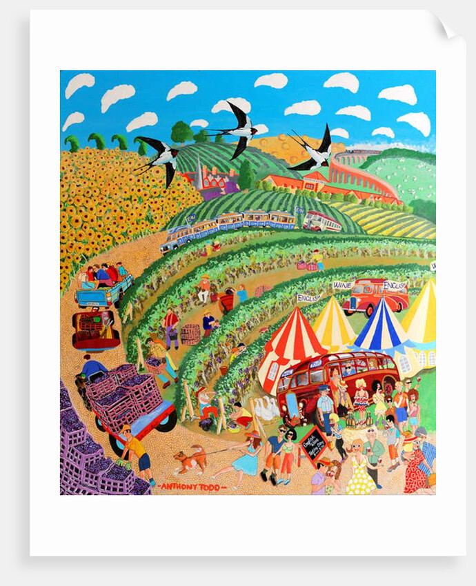 English Vineyard by Tony Todd
