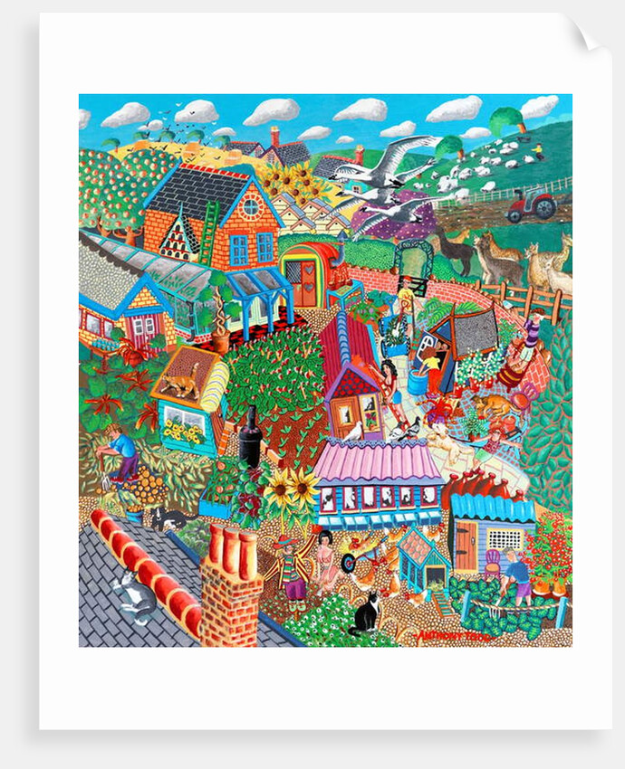 Birds over the Allotments by Tony Todd