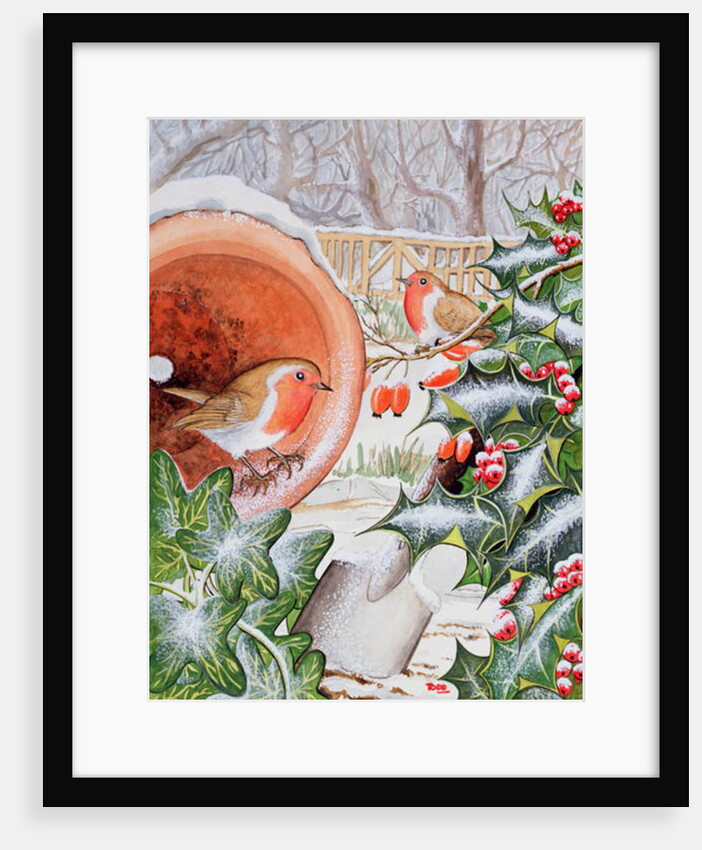 Christmas Robins by Tony Todd